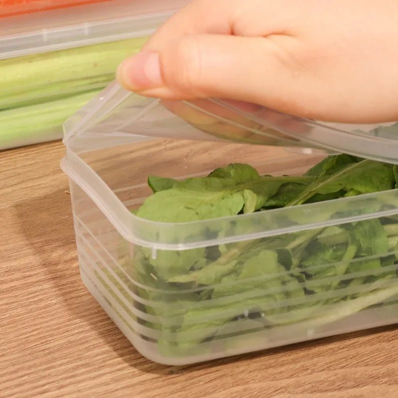 boite-alimentaire-conservation