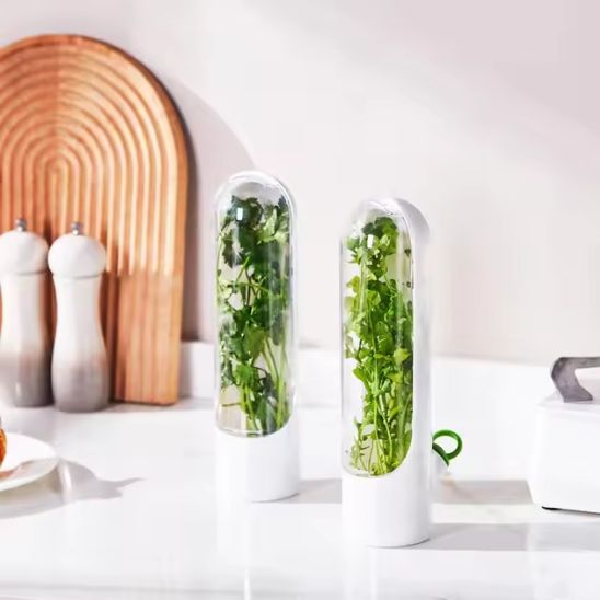 boite-de-conservation-alimentaire-thym