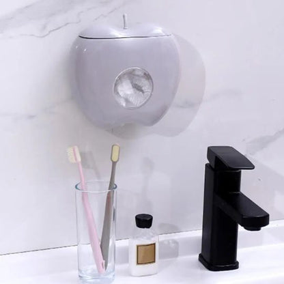 boite-de-rangement-plastique-pomme-grise